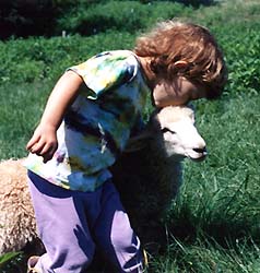 willa and mary the lamb