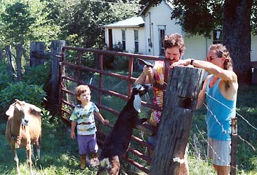 fixing the fence in tennessee with assistance from willa and goats